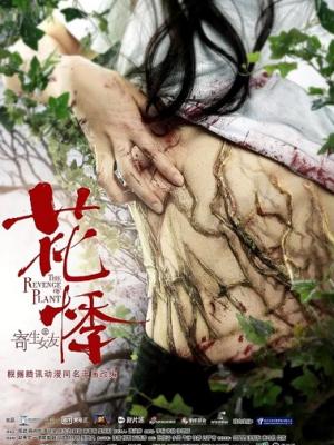 雾港来信 剧集封面